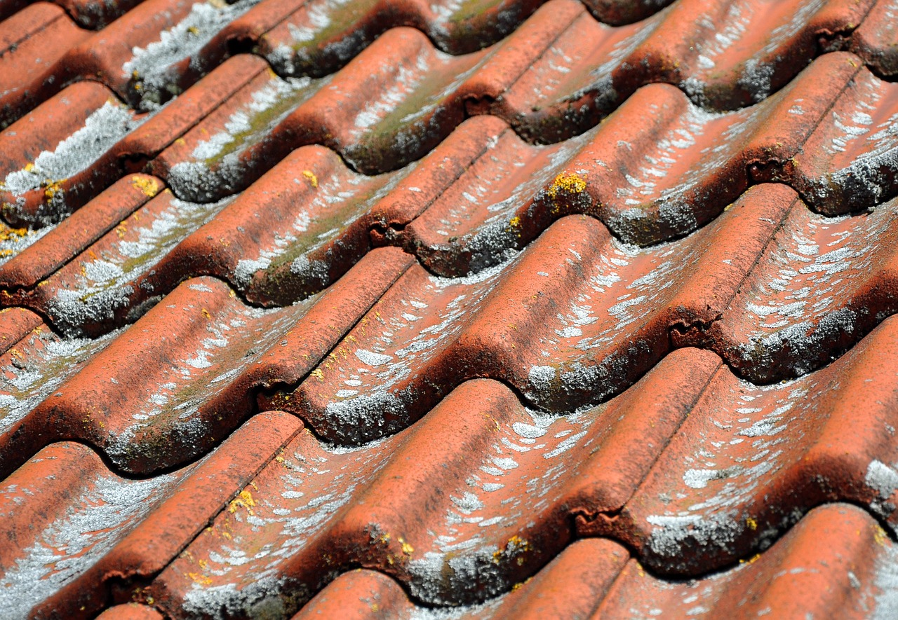 Roof Maintenance